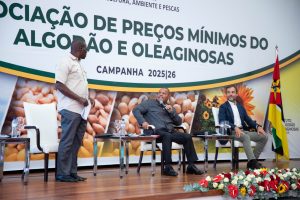 Foto (13)