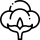 algodao